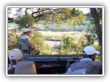 Inyati Game Lodge - Game Drive