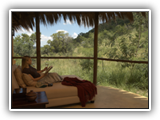Ivory Tree Game Lodge - Private patio