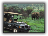 Kwa Maritane Bush Lodge