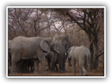 Mabula Game Lodge
