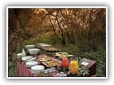 Madikwe River Lodge Bush Breakfast set up