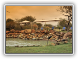 Madikwe River Lodge Rock Pool