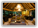 Lion Sands River Lodge - Lounge