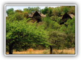 Tshukudu Bush Lodge Exterior