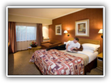 City Lodge Bryanston - Bedroom