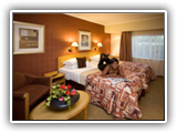 City Lodge Bryanston - Twin Room